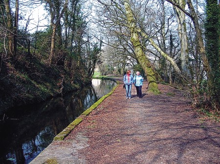 Canal path in Tavistock